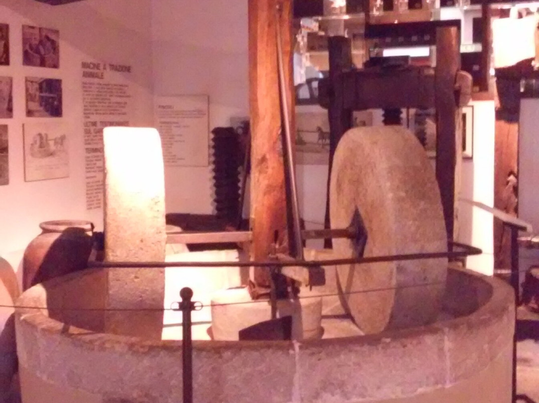 Museo Dell'olio D'oliva-Cisano必去景点