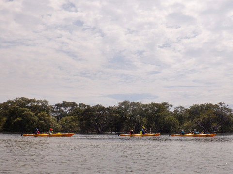 Lazy Paddles-Tea Gardens必去景点