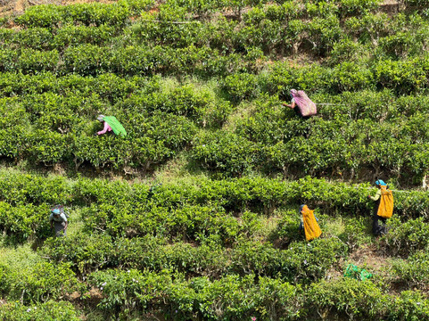 迪科雅公主酒店主图