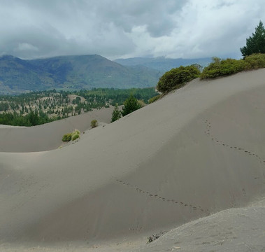 Desierto De Palmira-Chimborazo Province必去景点