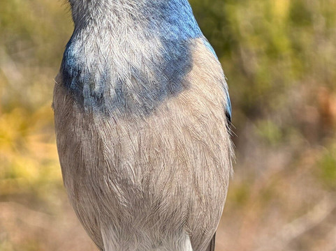 Helen and Allan Cruickshank Sanctuary-Rockledge必去景点