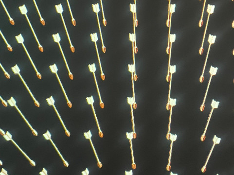 西澳博物馆-珀斯必去景点