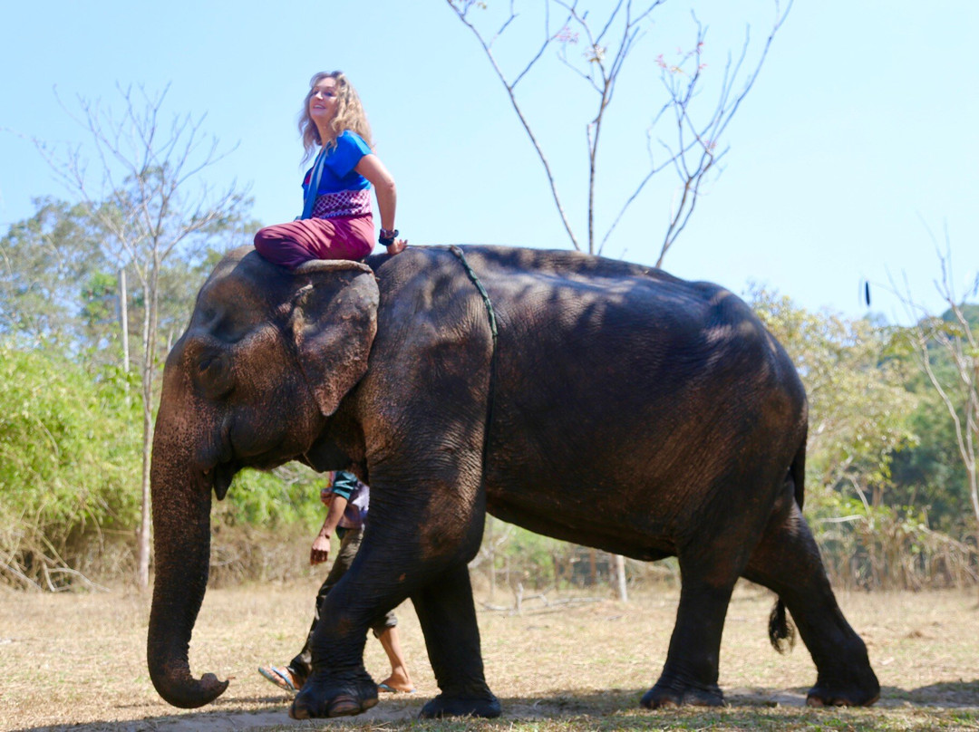 Karen Tribe Native Elephant-清迈必去景点