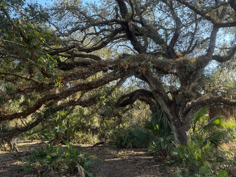 Wagon Wheel Horse Farm-奥基乔比必去景点
