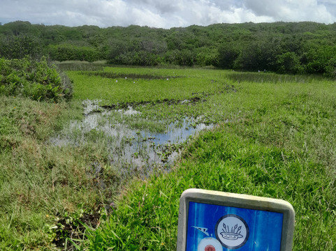 Parque Da Guarita-Torres必去景点