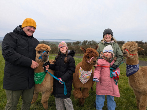 North Coast Alpacas-科尔雷恩必去景点