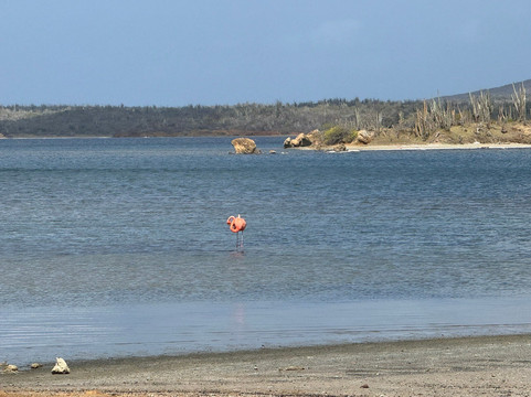 Washington-Slagbaai National Park Visitor Center Museum-Washington-Slagbaai National Park必去景点