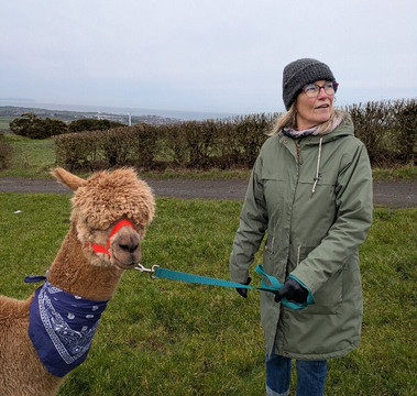 North Coast Alpacas-科尔雷恩必去景点