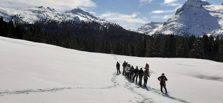 Passo Rolle-圣马蒂诺－迪卡斯特罗扎必去景点