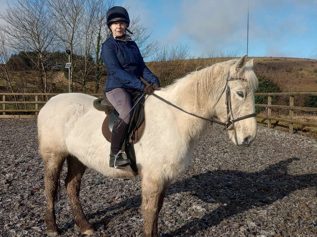 Caradon Hill Trekking and Equestrian Centre-Pensilva必去景点