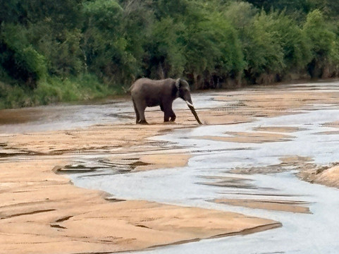 Discover Kruger Safaris-库马堤港必去景点