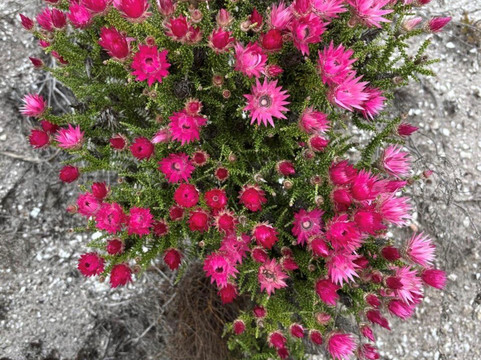 Green Mountain Trail-Elgin必去景点