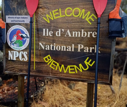 Sea Kayak Adventures-毛里求斯必去景点