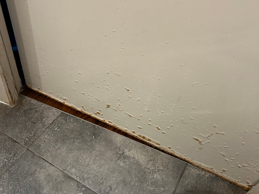 昂热西部省康铂酒店主图