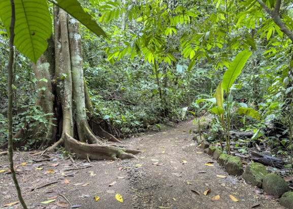 Catarata Uvita-乌维塔必去景点
