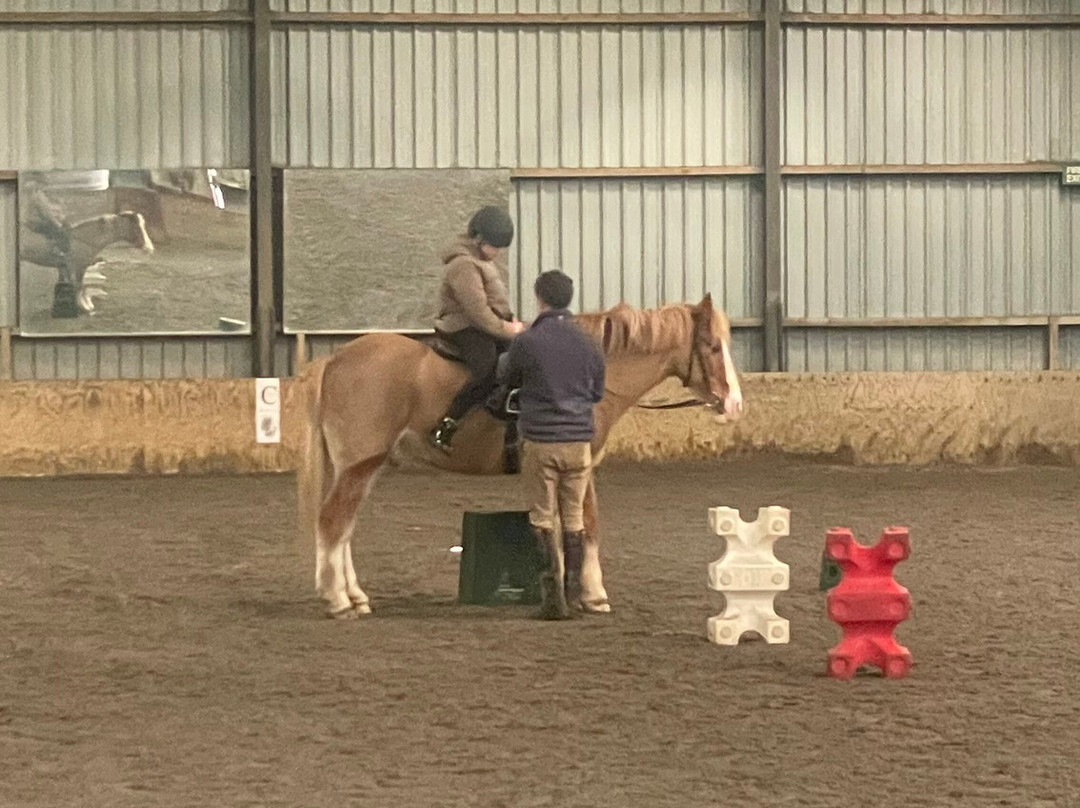 Aberconwy Equestrian Centre-Llandudno Junction必去景点