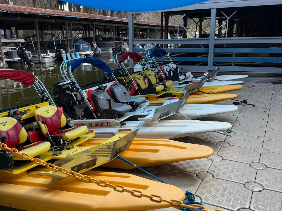CatBoat Adventure Tours-Mount Dora必去景点