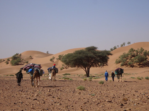 Auberge Kasbah Touareg主图