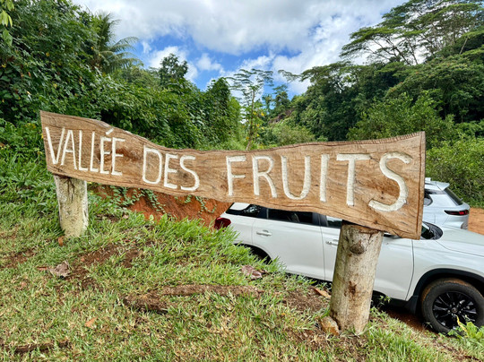 Vallée Des Fruits-大安塞区必去景点