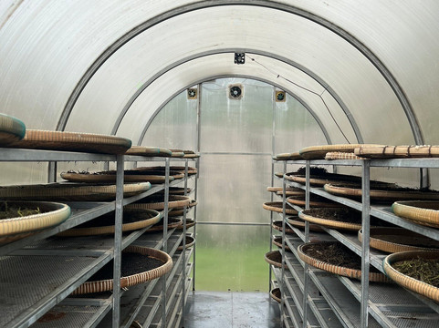 思蒂辣椒园-白马必去景点