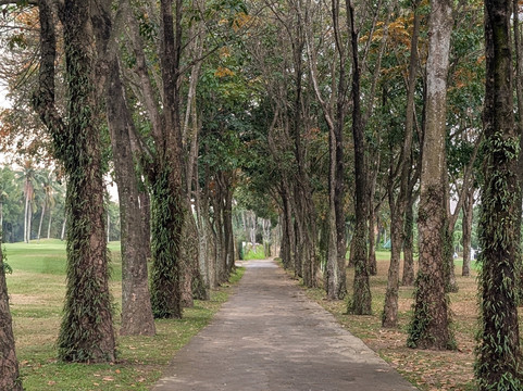 GolfLux-河内必去景点