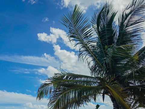 土龙沙滩-阿范特拉斯港必去景点