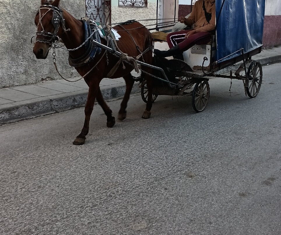 Cuban Adventures-哈瓦那必去景点