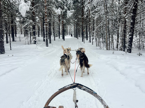 Aurora Borealis Adventures-Vindeln必去景点