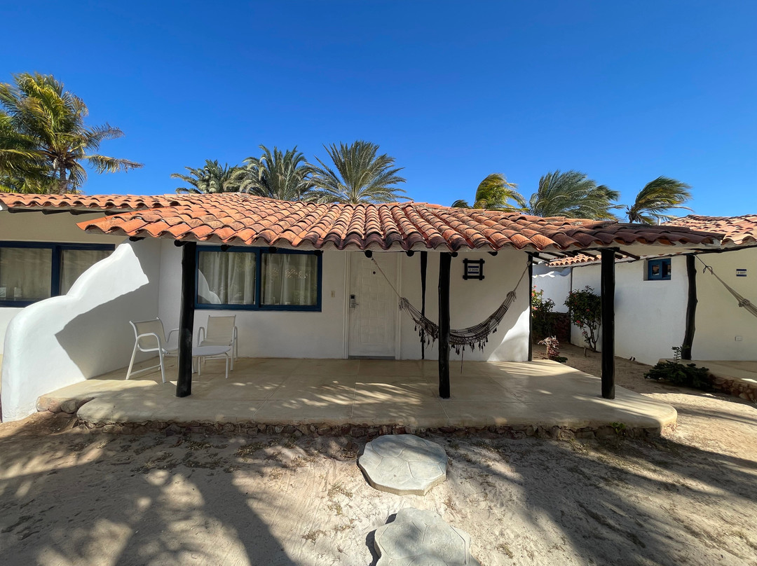 Grupo BT Travel-潘帕塔尔必去景点