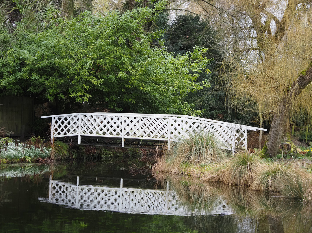 Gooderstone Water Gardens & Nature Trails-金斯林必去景点