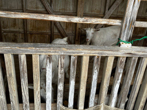 温泉休养地奄美山羊岛酒店<奄美大岛>主图