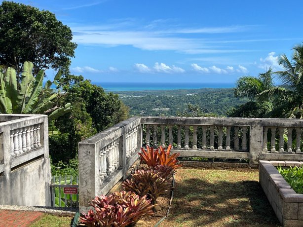EL Yunque Rainforest Inn-官方