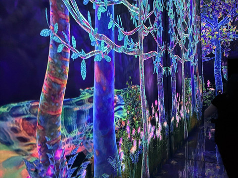 teamLab Planets TOKYO-Toyosu必去景点