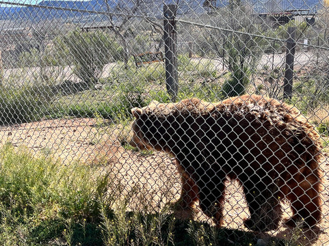 Days Inn by Wyndham Camp Verde Arizona主图