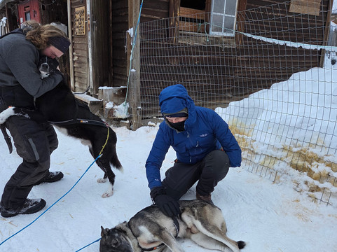 Beito Husky Tours Day Tours-Beito必去景点