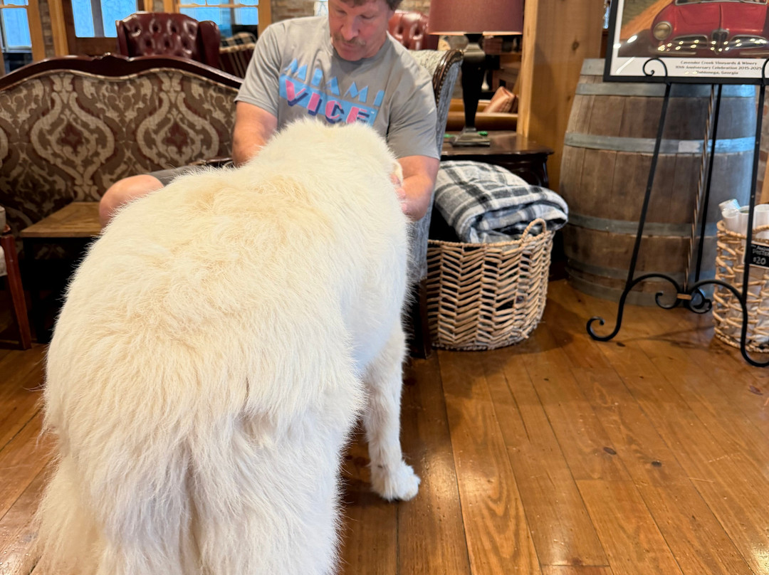 Cavender Creek Vineyards and Winery-达洛尼加必去景点