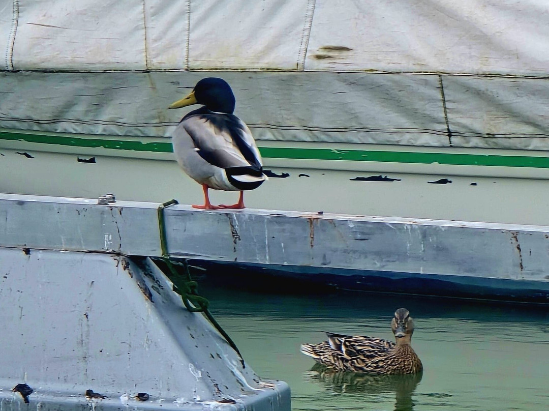 Lungolago-San Feliciano必去景点