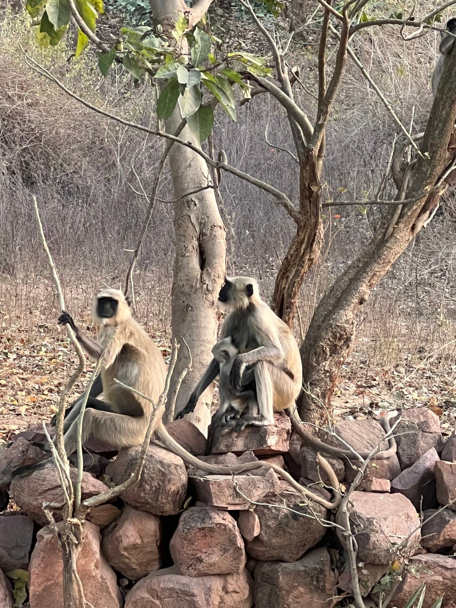 Happy Homestay-浴室