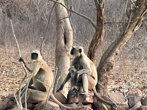 Happy Homestay主图