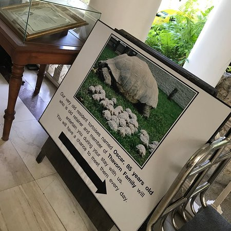 普吉岛塔夫棕榈海滩度假村主图