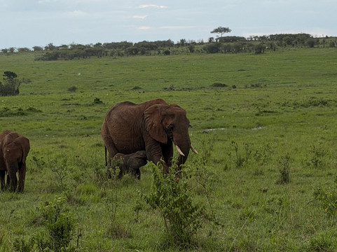 Bigfoot Adventures-内罗毕必去景点