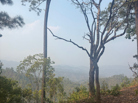 Mike's Authentic Trekking-清迈必去景点