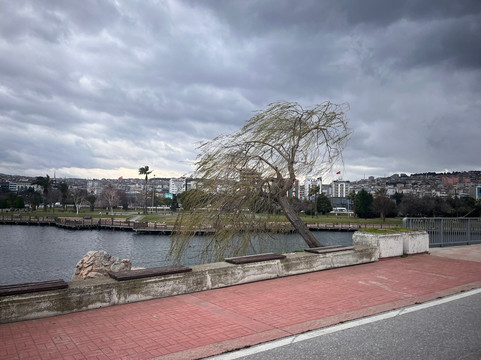 Doğu Park-萨姆森必去景点