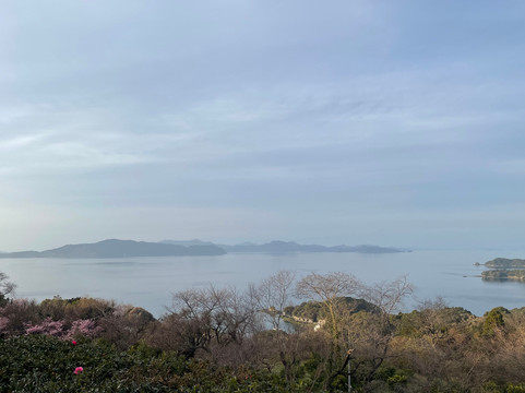 Fukuda Farm-水俣市必去景点