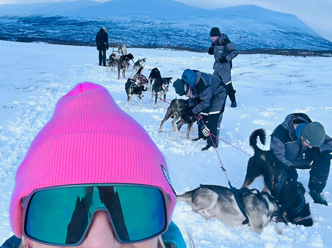 拉普兰极光之旅-阿比斯库必去景点