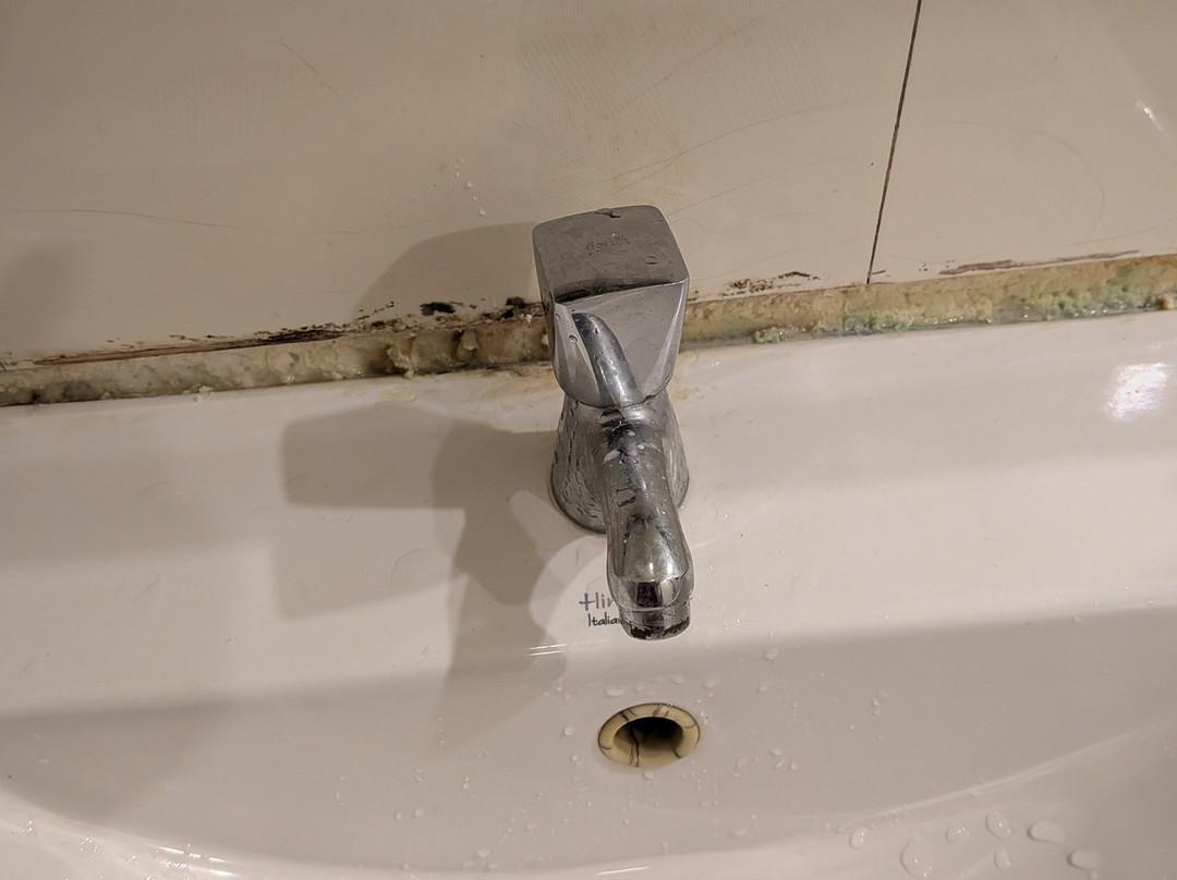 Venezia Cruise - Alleppey Houseboat-阿拉普扎必去景点