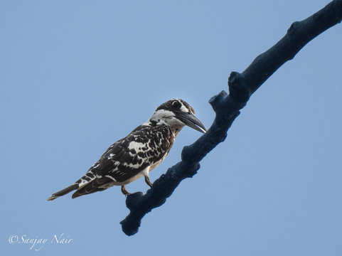 Traveller Realm-Chandrapur必去景点