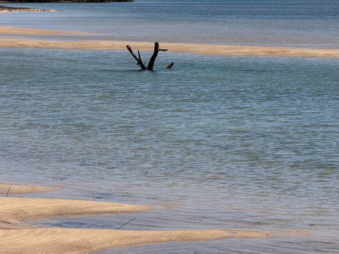 Camili Safaris-内罗毕必去景点