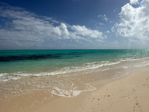 Caicos Dream Tours-普罗维登西亚莱斯必去景点