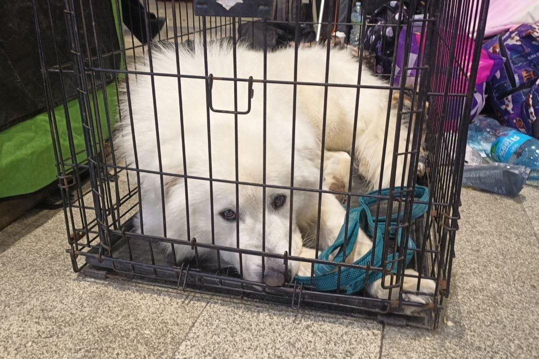 Gostiny Dvor and Trade Rows-Kimry必去景点